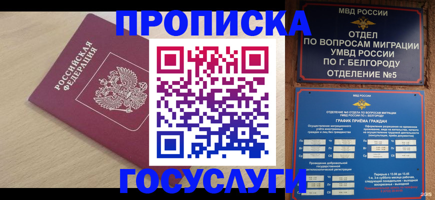 прописка законно в Черноголовке